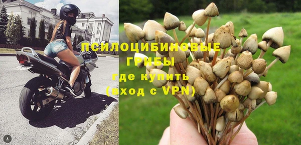 каннабис Арсеньев