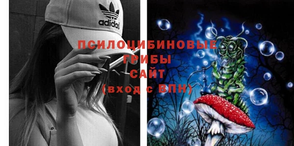 спиды Армянск