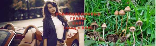каннабис Арсеньев