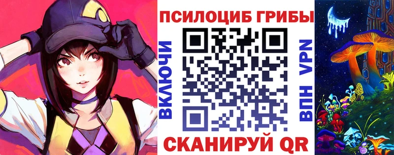 Псилоцибиновые грибы Psilocybine cubensis  Комсомольск 